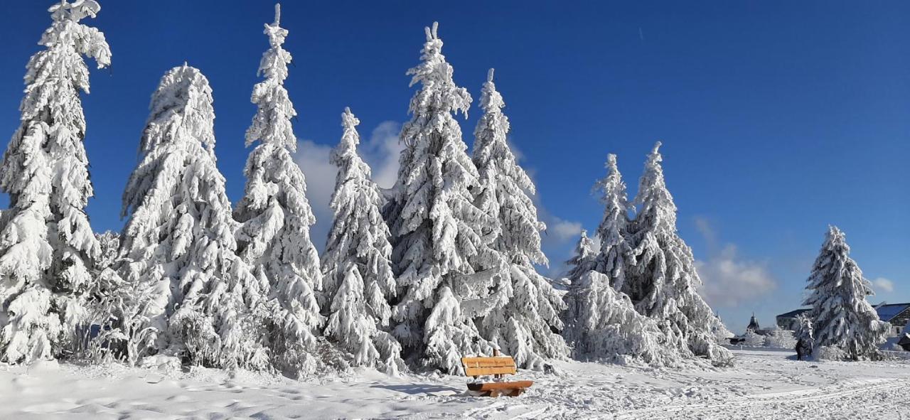 Ferienwohnung "An Den Kurwiesen" Masserberg Esterno foto