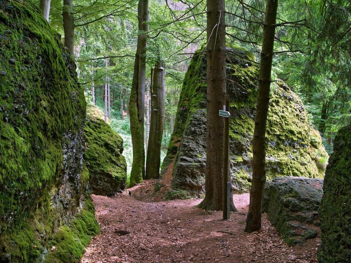 Ferienwohnung "An Den Kurwiesen" Masserberg Esterno foto